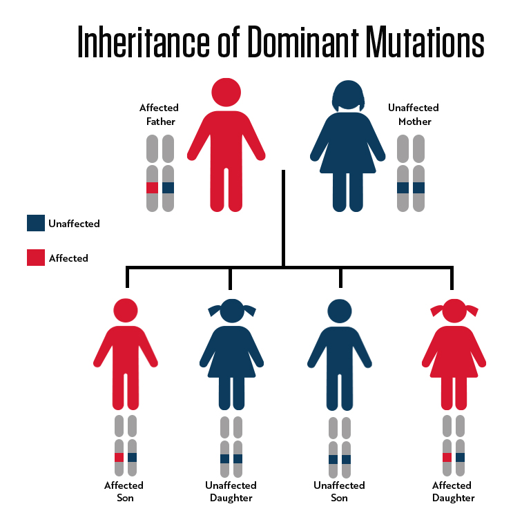 Whats the chance of every mutation?