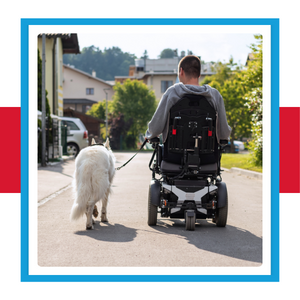 Man in a power wheelchair walking a dog
